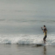 Noosa Head Surfers